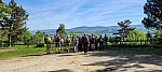 20260521_095712.jpg