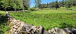 20260521_142056.jpg