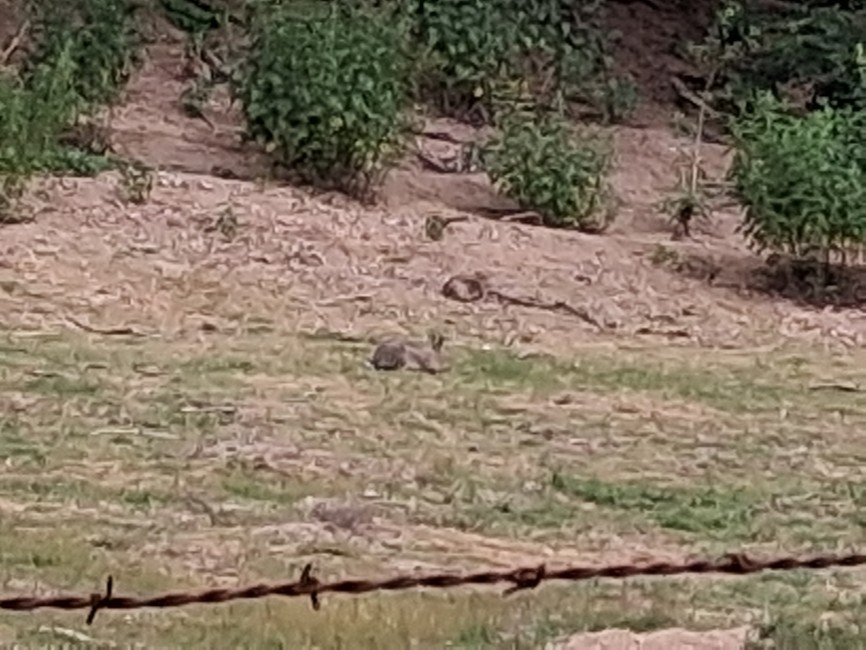 20260605_093312.jpg