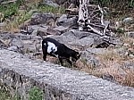 20260605_085939.jpg