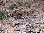 20260605_090032.jpg
