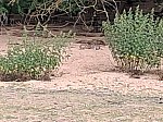 20260605_093144.jpg