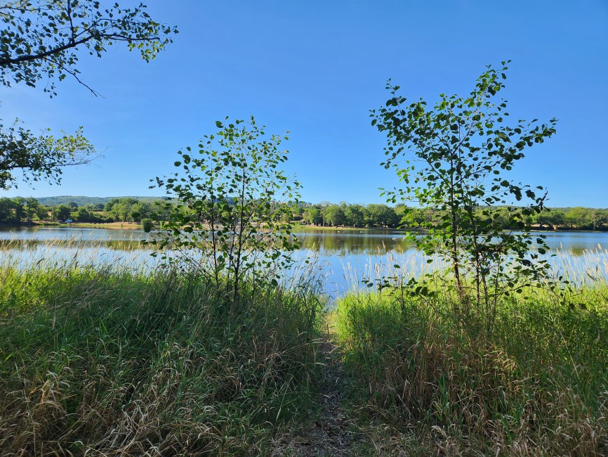 20260706_093705.jpg
