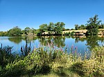 20260706_110137.jpg