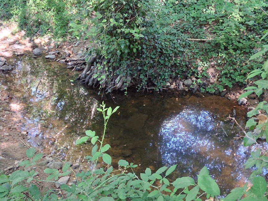 20260710_093521.jpg