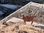 20260710_085428.jpg