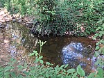 20260710_093521.jpg