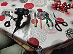 IMG_20260820_182050.jpg