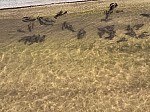 IMG_20260925_135051.jpg