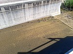 IMG_20260925_145846.jpg